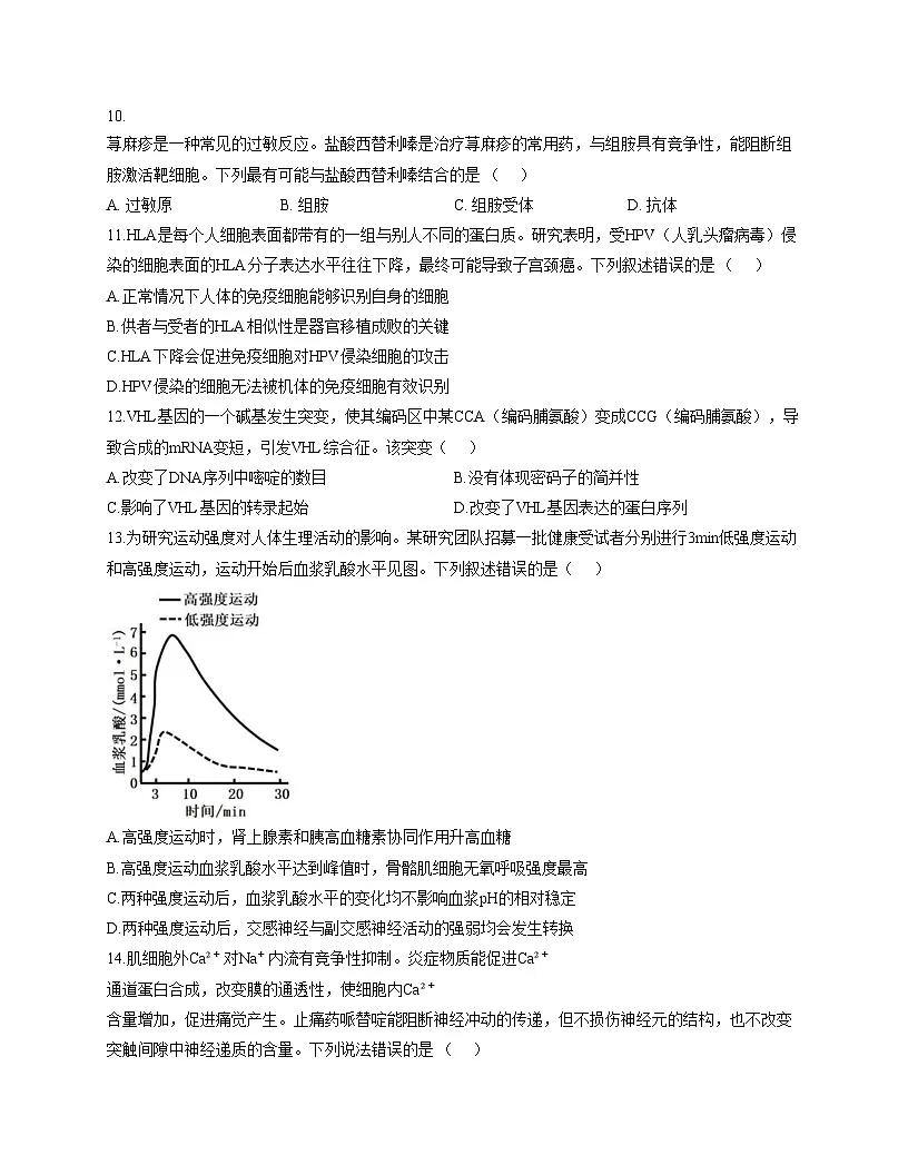 广东省汕尾市陆丰市东海新龙中学2025—2026学年高二上学期期中考试生物试题(文字版,含答案)第3页