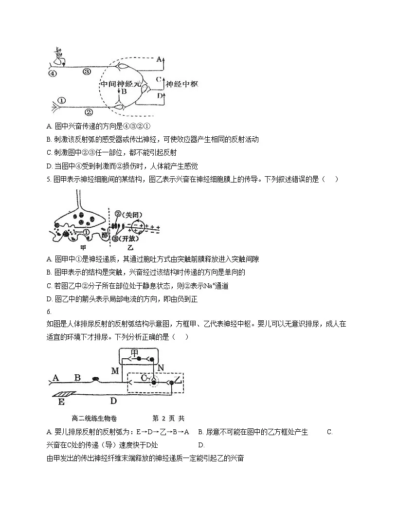 天津市宝坻区第一中学2025_2026学年高二上学期第一次月考生物试卷(文字版,含答案)第2页