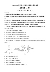 安徽省芜湖市师大附中2025-2026学年高二上学期11月期中生物试卷（Word版附解析）