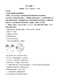 安徽省皖江名校联盟2025-2026学年高一上学期11月期中联考生物A试卷（Word版附解析）