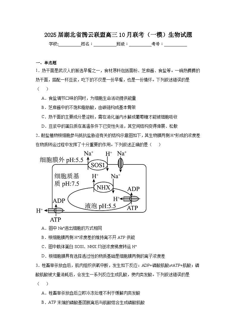 2025届湖北省腾云联盟高三10月联考(一模)生物试题第1页