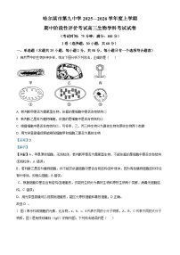 黑龙江省哈尔滨市第九中学2025-2026学年高三上学期期中考试生物试卷（Word版附解析）