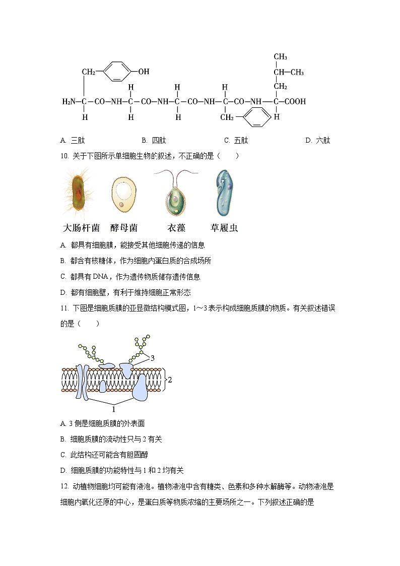 【生物】江苏省扬州市广陵区江苏省扬州中学2025-2026学年高一上学期11月期中(学生版)第3页
