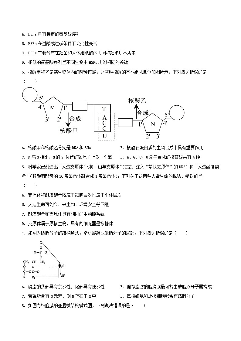辽宁省沈阳市五校协作体2025-2026学年高一上学期期中考试生物试题(Word版附答案)第2页