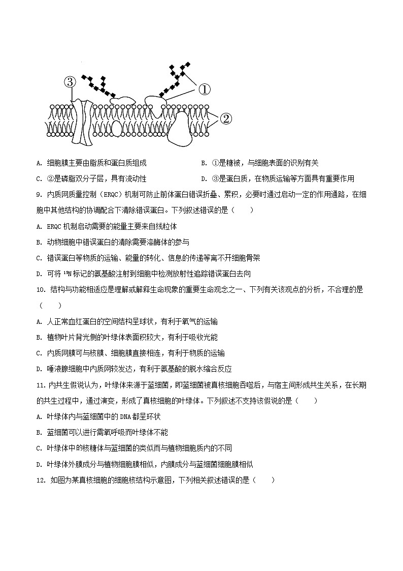辽宁省沈阳市五校协作体2025-2026学年高一上学期期中考试生物试题(Word版附答案)第3页
