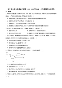 辽宁省大连市滨城高中联盟2025-2026学年高一上学期期中考试生物试卷（含答案）含答案解析