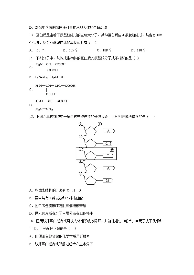 江苏省2025-2026学年高一上学期第三次月考生物试卷(学生版)第3页