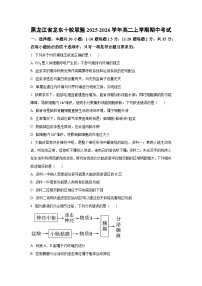 黑龙江省龙东十校联盟2025-2026学年高二上学期期中考试生物试卷（学生版）