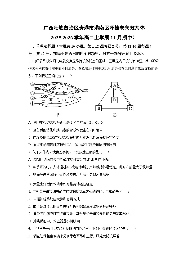 广西壮族自治区贵港市港南区泽桂未来教共体2025-2026学年高二上学期11月期中生物试卷(学生版)第1页