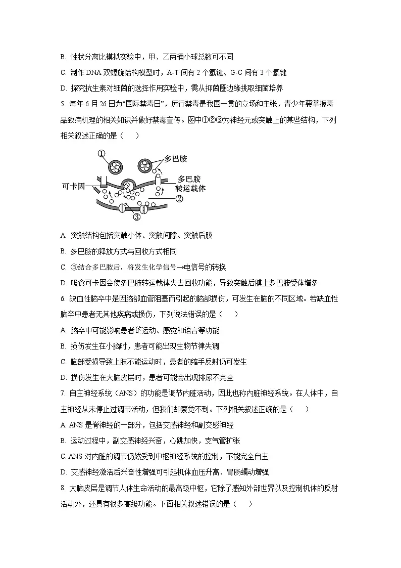 广西壮族自治区贵港市港南区泽桂未来教共体2025-2026学年高二上学期11月期中生物试卷(学生版)第2页