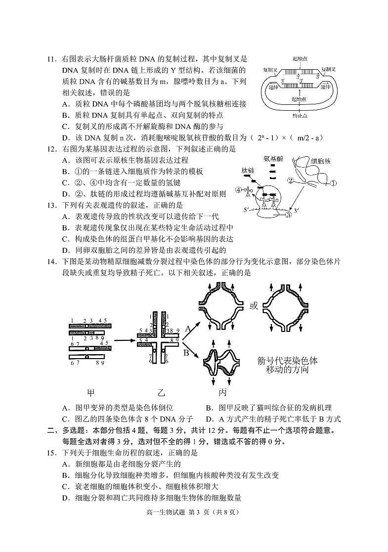 2024高一期末生物试卷第3页