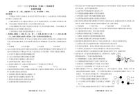 广东衡水金卷2025-2026学年度高二上学期11月份联考生物试卷（含答案）