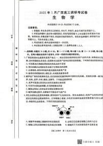 广西壮族自治区部分学校2024-2025学年高三上学期1月期末生物试题