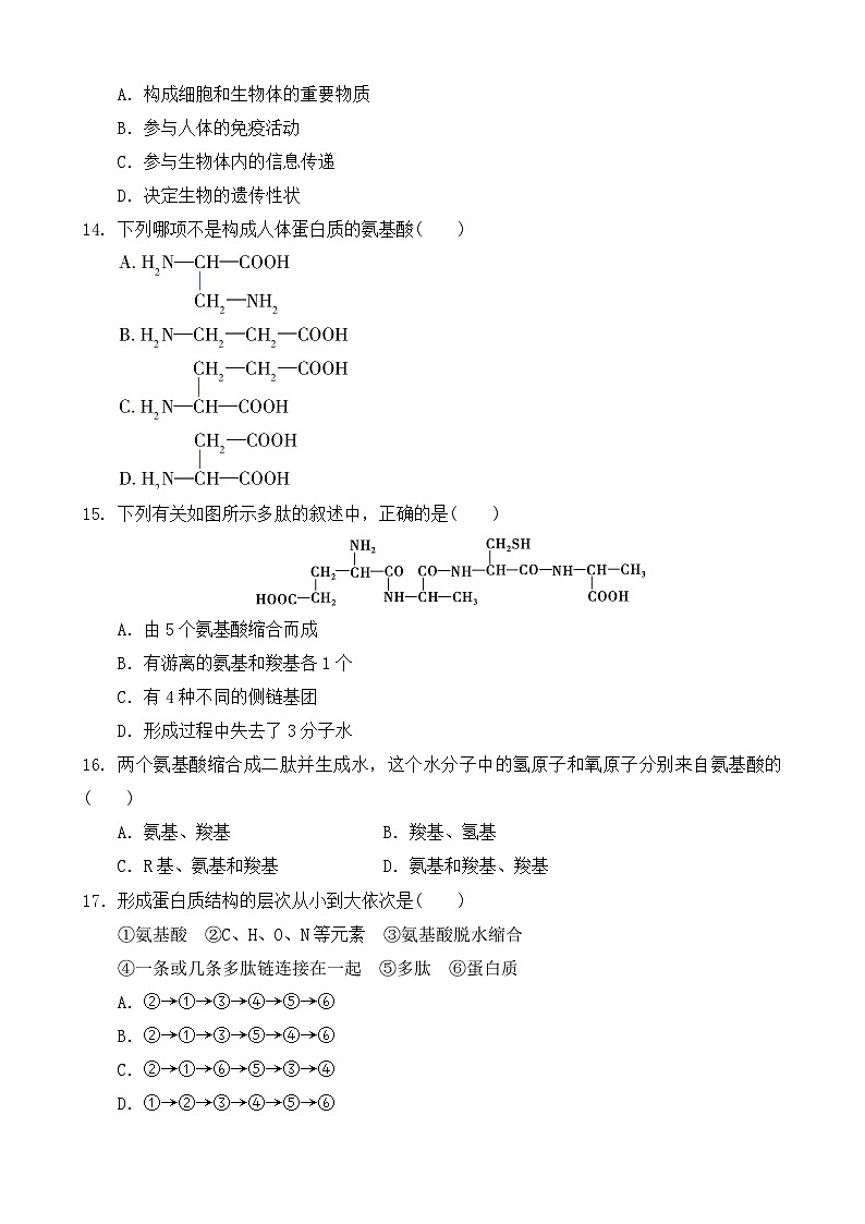 江苏省盐城市滨海县明达中学2024-2025学年高一上学期10月第一次阶段检测生物试题第3页
