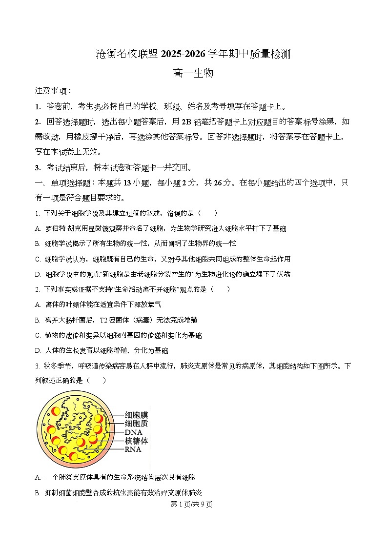 河北省沧州市泊头市八县联考2025-2026学年高一上学期11月期中生物试题(原卷版)第1页