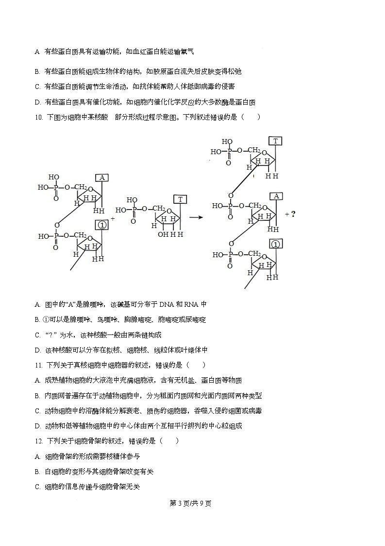 河北省沧州市泊头市八县联考2025-2026学年高一上学期11月期中生物试题(原卷版)第3页