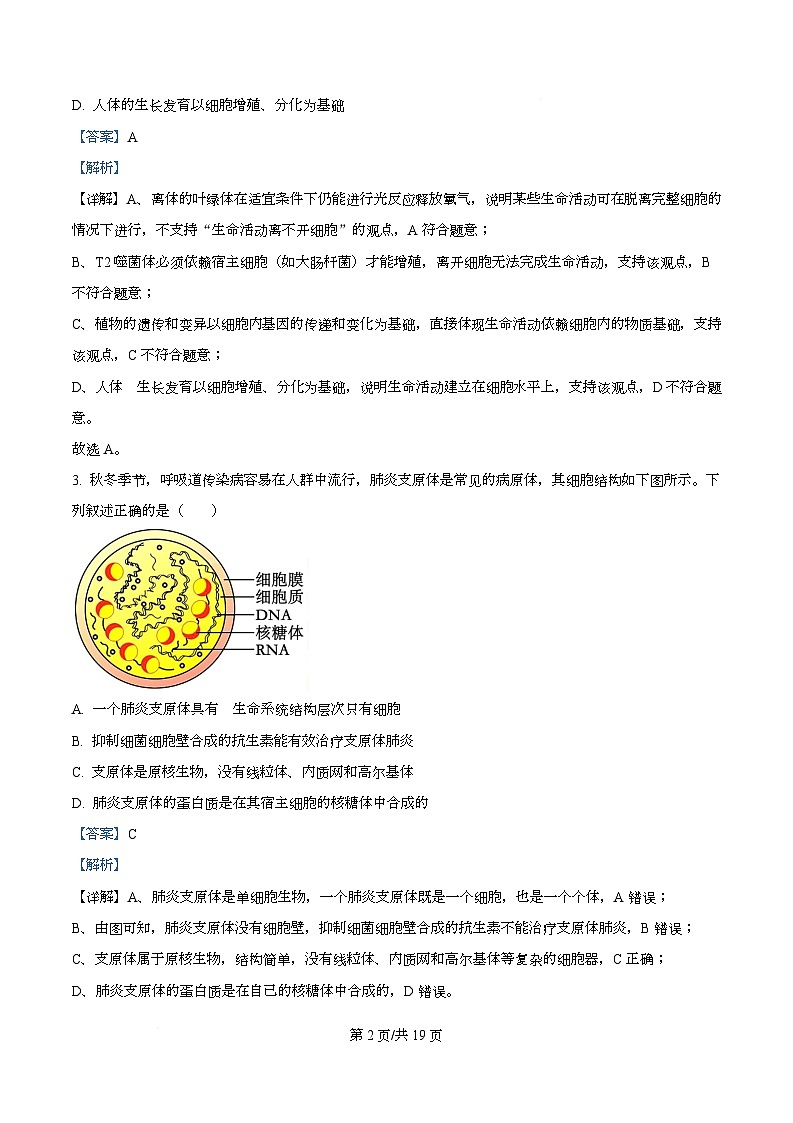 河北省沧州市泊头市八县联考2025-2026学年高一上学期11月期中生物试题 Word版含解析第2页