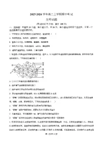 河北省沧州市四校联考2025-2026学年高二上学期11月期中生物试题(Word版附解析)