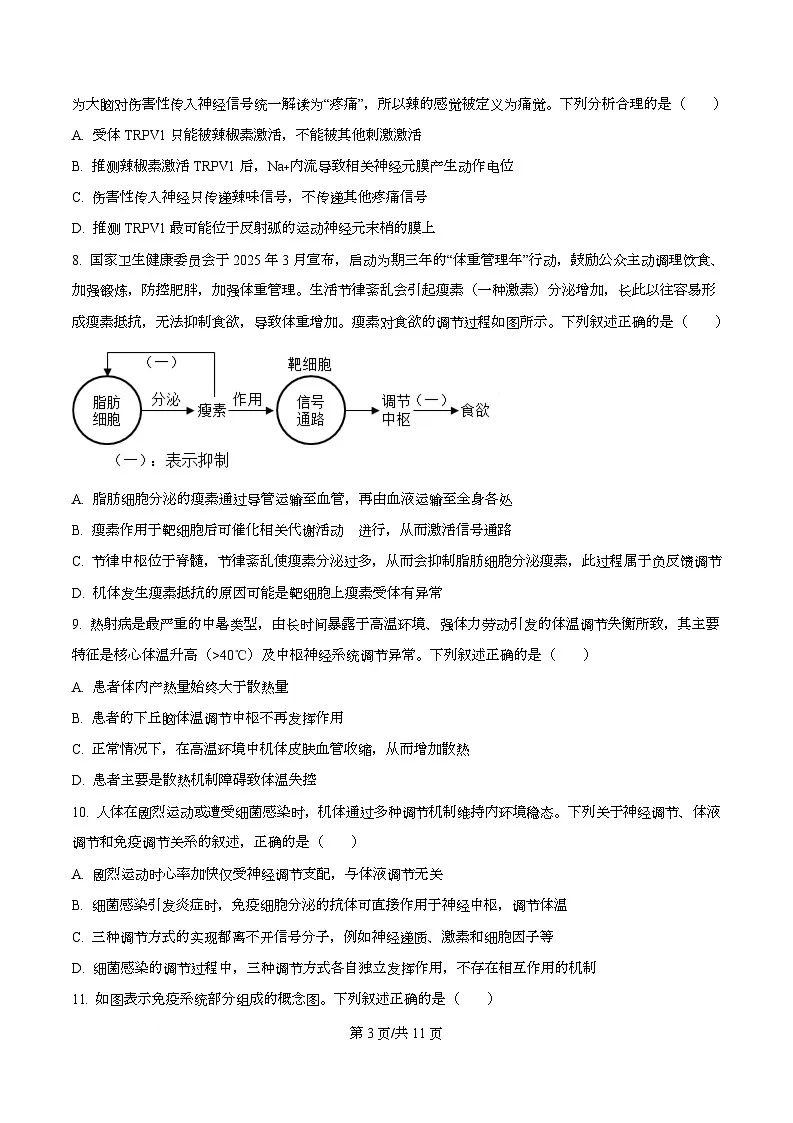 河北省石家庄市新乐市七校联合体2025-2026学年高二上学期11月期中生物试题(原卷版)第3页