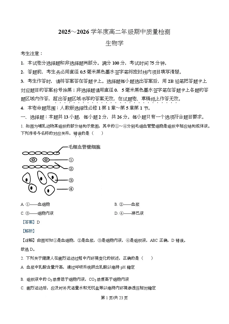 河北省石家庄市新乐市七校联合体2025-2026学年高二上学期11月期中生物试题 Word版含解析第1页