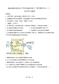 四川省绵阳市南山中学2025届高三下学期模拟考试（二）生物试题（Word版附解析）