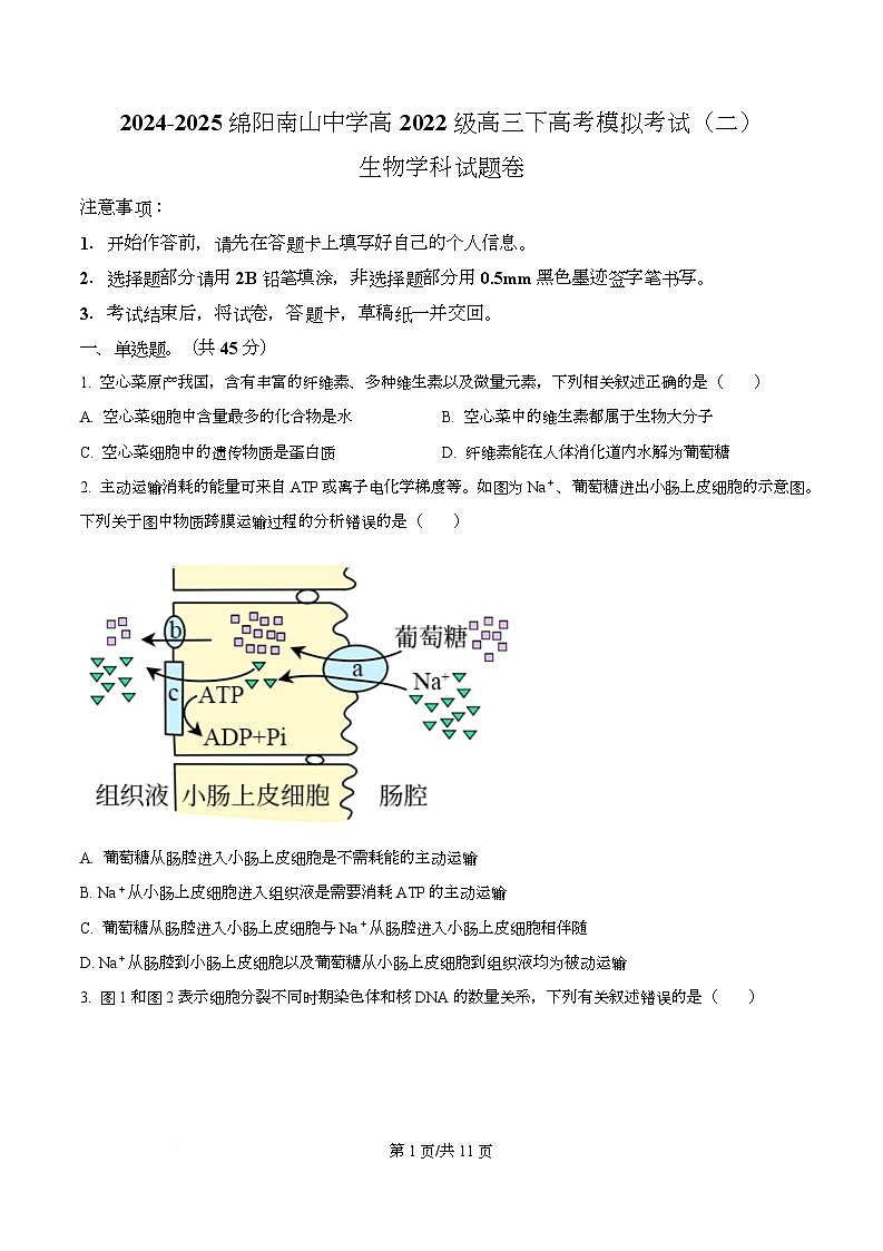 2025届四川省绵阳南山中学高三模拟考试(二)生物试卷(原卷版)第1页
