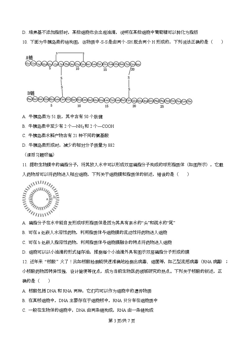 四川省遂宁市蓬溪中学2025-2026学年高一上学期第二次质量检测生物试题(原卷版)第3页