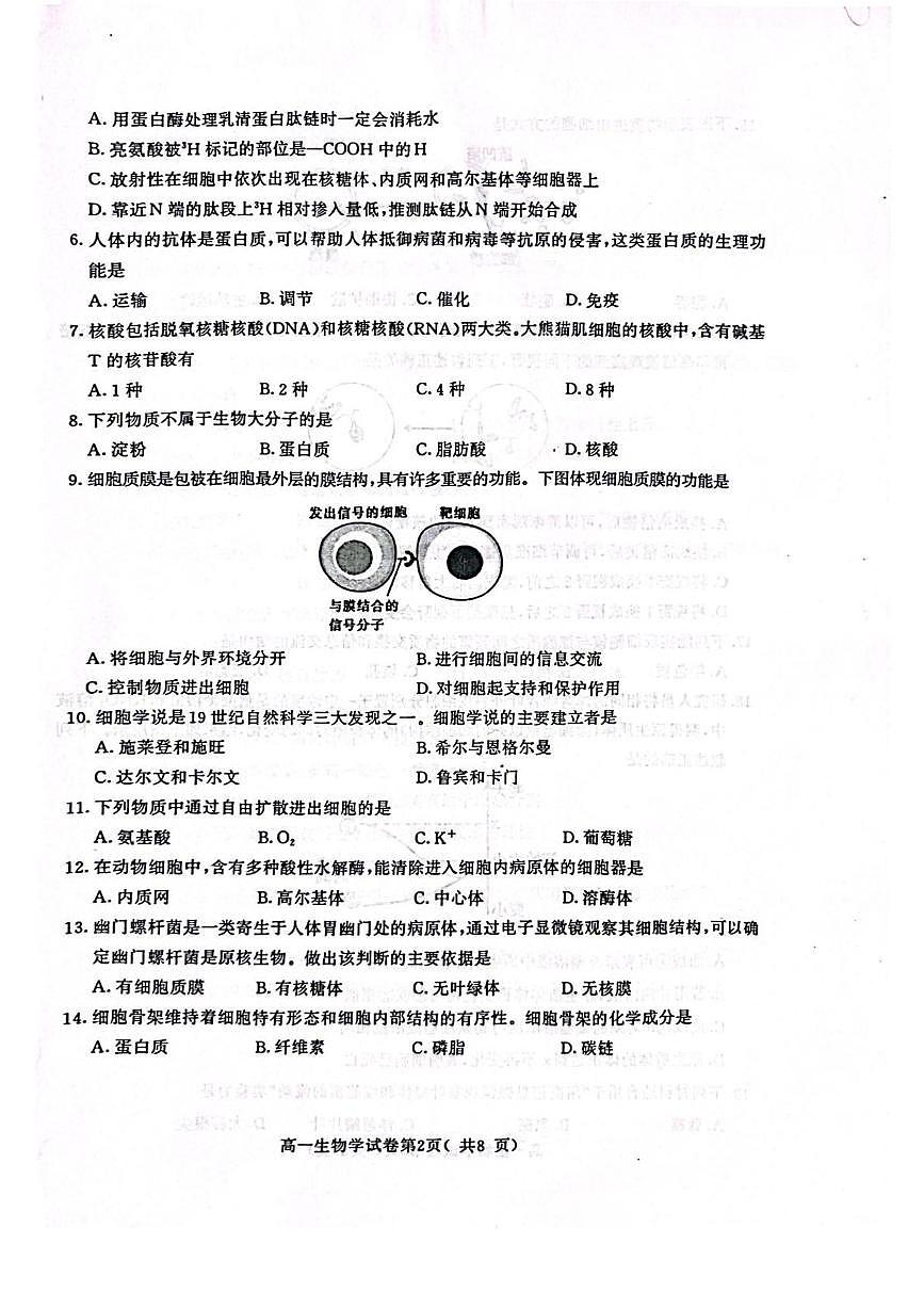 江苏省南京市2024-2025学年高一上学期1月期末学情调研测试生物试题第2页