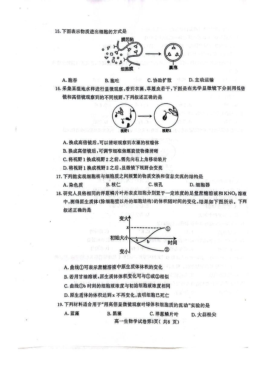 江苏省南京市2024-2025学年高一上学期1月期末学情调研测试生物试题第3页