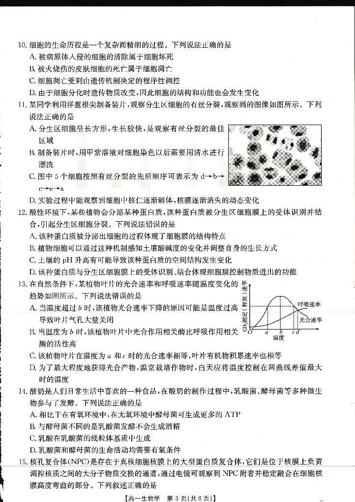 广西壮族自治区崇左市2024-2025学年高一上学期1月期末考试生物学试卷第2页