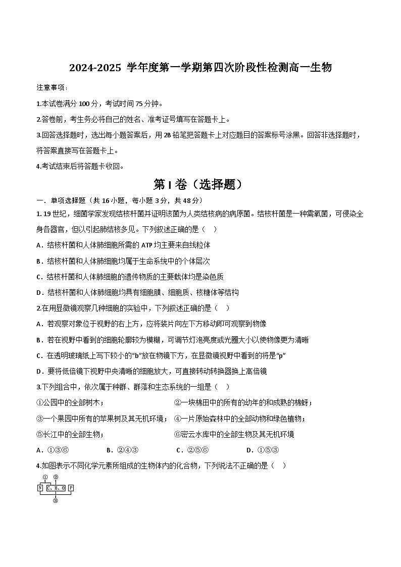 陕西省西安市部分学校2024-2025学年高一上学期期末生物试卷(有答案)第1页