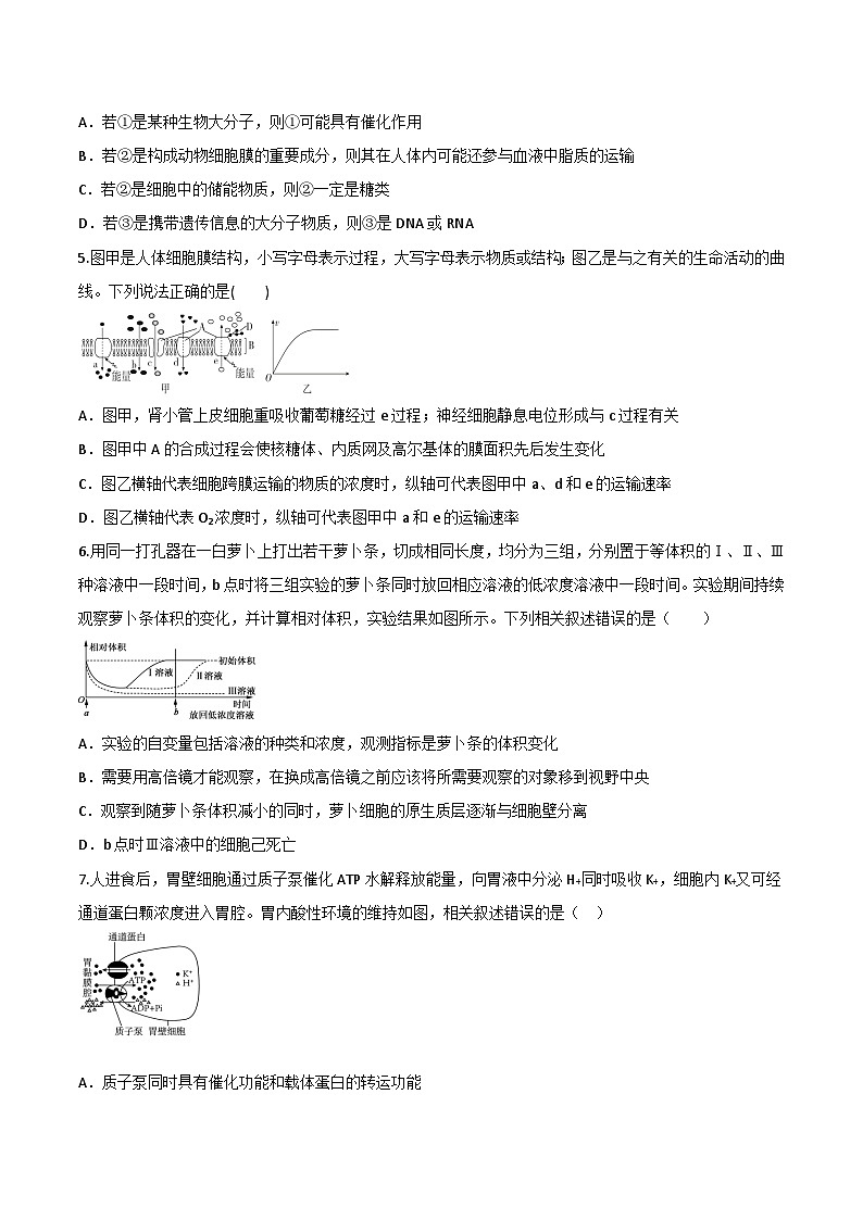 陕西省西安市部分学校2024-2025学年高一上学期期末生物试卷(有答案)第2页
