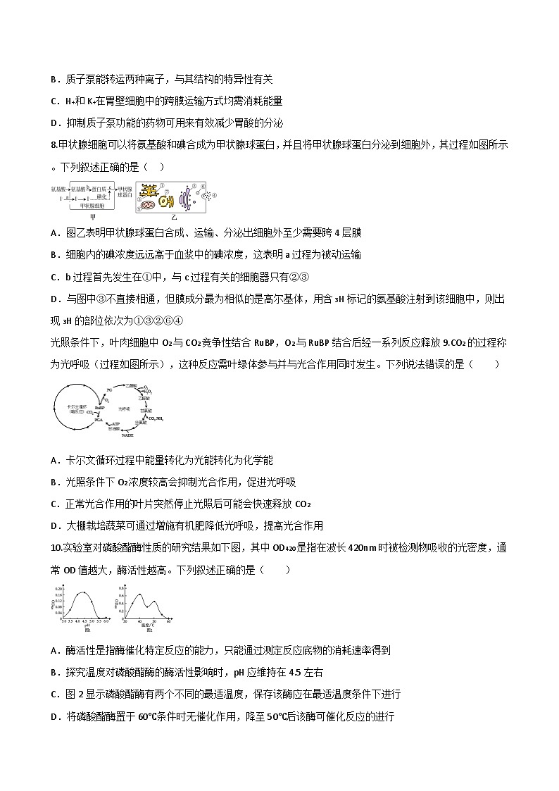 陕西省西安市部分学校2024-2025学年高一上学期期末生物试卷(有答案)第3页