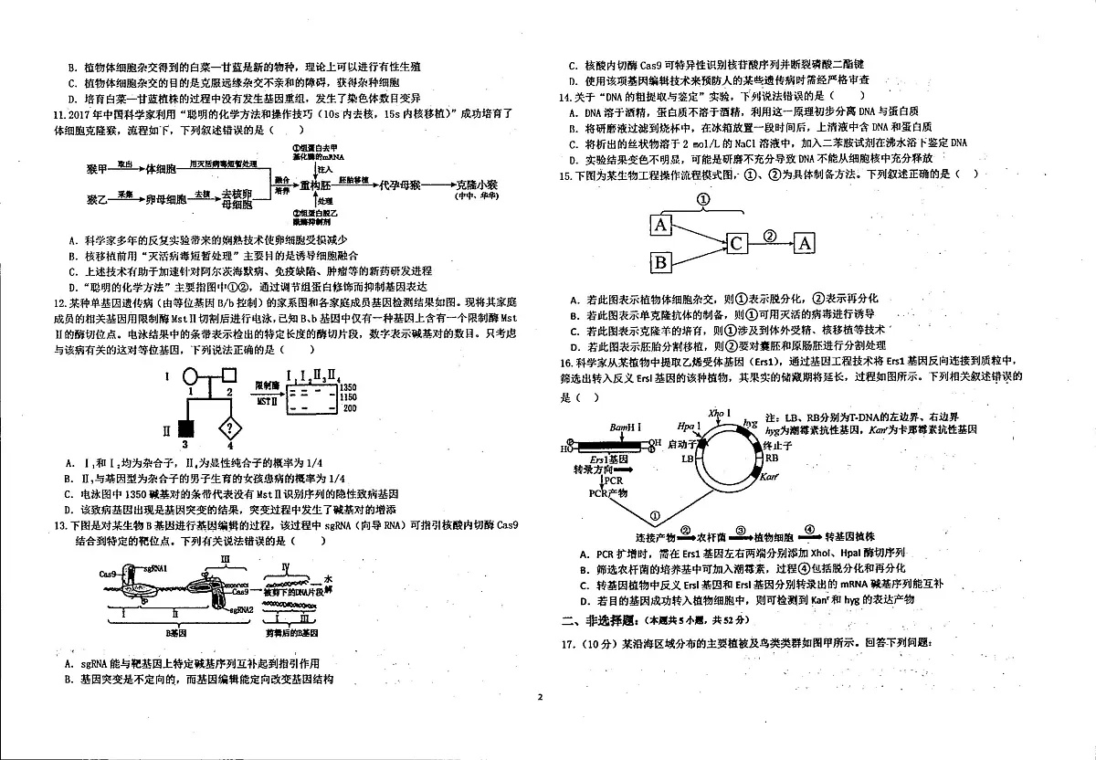 新疆阿克苏地区第一中学2024-2025学年高二下学期期末考试生物试题第2页