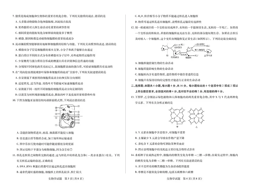 江西省天一大联考2025-2026学年(上)高一年级期中考试生物试卷(含答案)第2页
