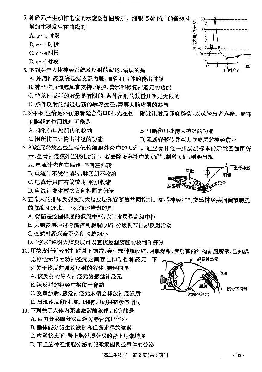 金太阳河北省2027届高二年级10月份联考(26-35B)生物B2试卷(含答案)第2页