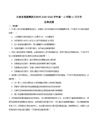 云南省楚雄彝族自治州2025-2026学年高一上学期11月月考生物试卷（Word版附答案）