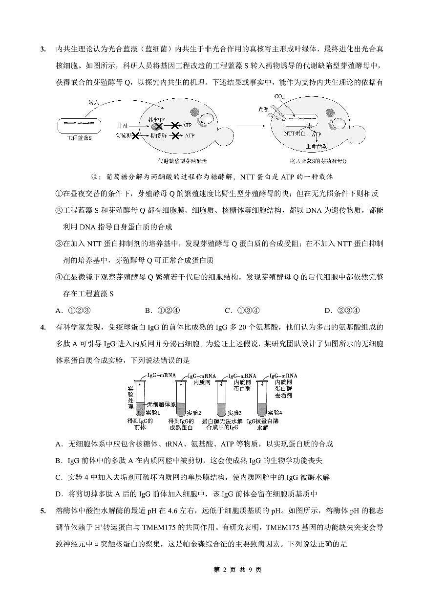 重庆市第一中学校2025-2026学年高三上学期11月月考生物试卷+答案第2页