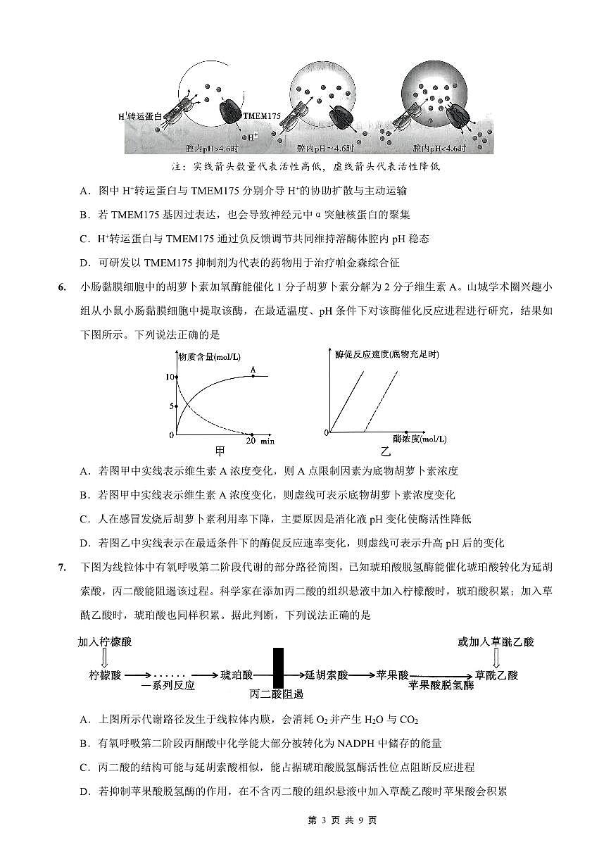 重庆市第一中学校2025-2026学年高三上学期11月月考生物试卷+答案第3页