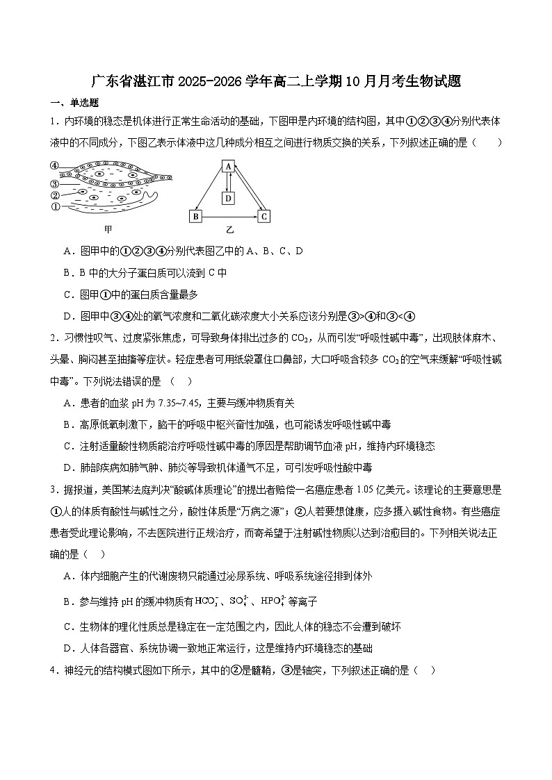 广东省湛江市重点高中2025-2026学年高二上学期10月月考生物试卷(含答案)第1页