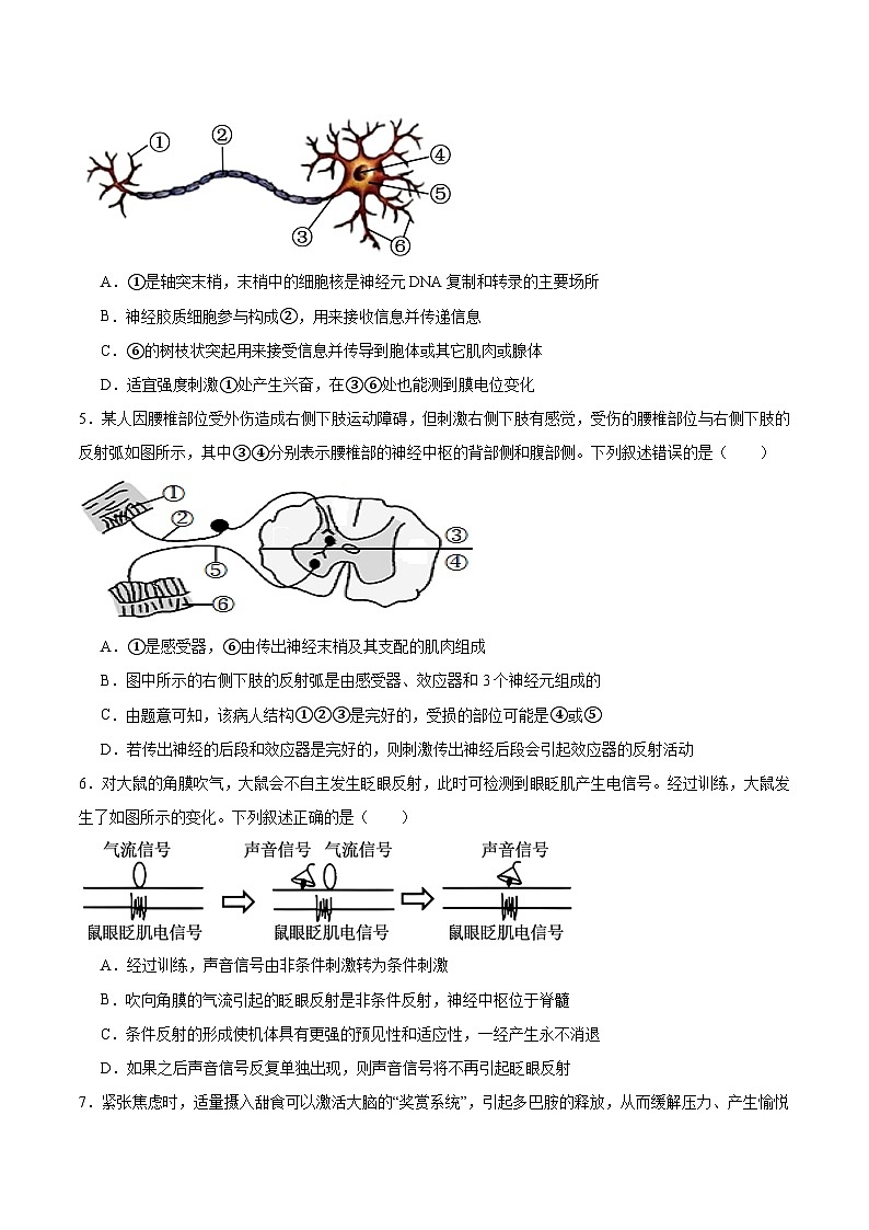 广东省湛江市重点高中2025-2026学年高二上学期10月月考生物试卷(含答案)第2页