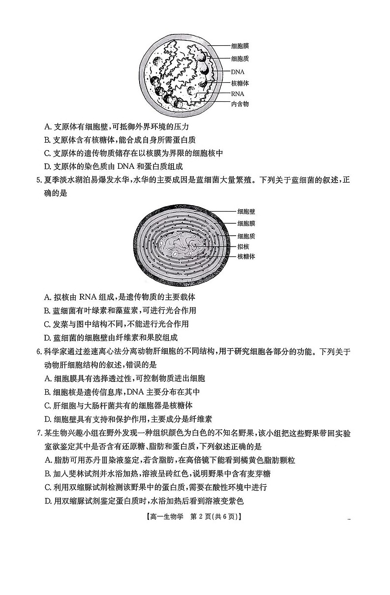广东省揭阳市2025-2026学年高一上学期11月期中考试生物试卷第2页