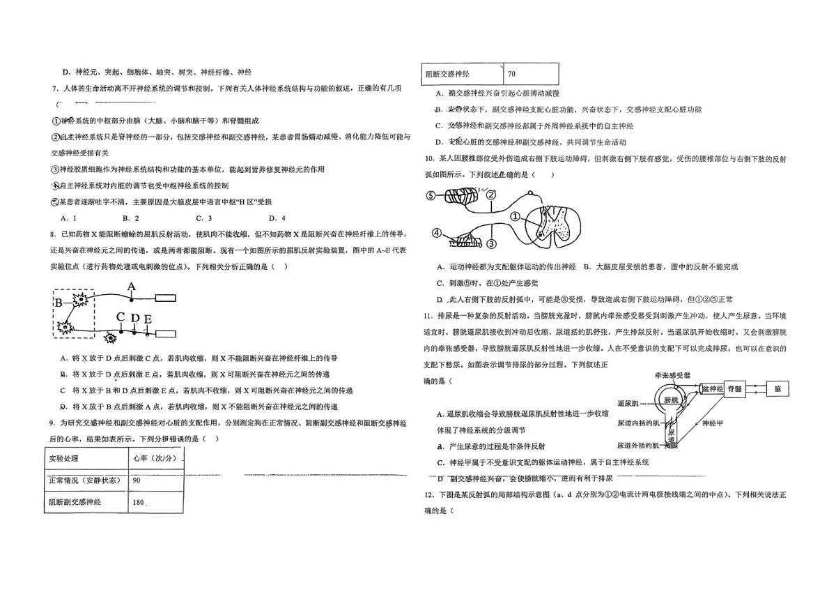 新疆喀什地区英吉沙县2025-2026学年高二上学期12月期中考试生物试卷第2页