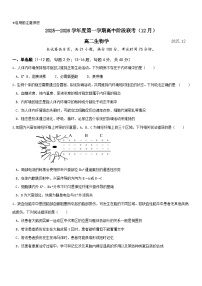 广东省多校联考2025-2026学年高二上学期12月期中考试生物试卷（Word版含答案）