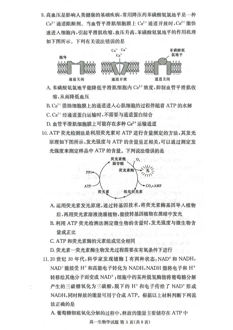 湖南省湘西土家族苗族自治州2024-2025学年高一上学期1月期末生物试题第3页