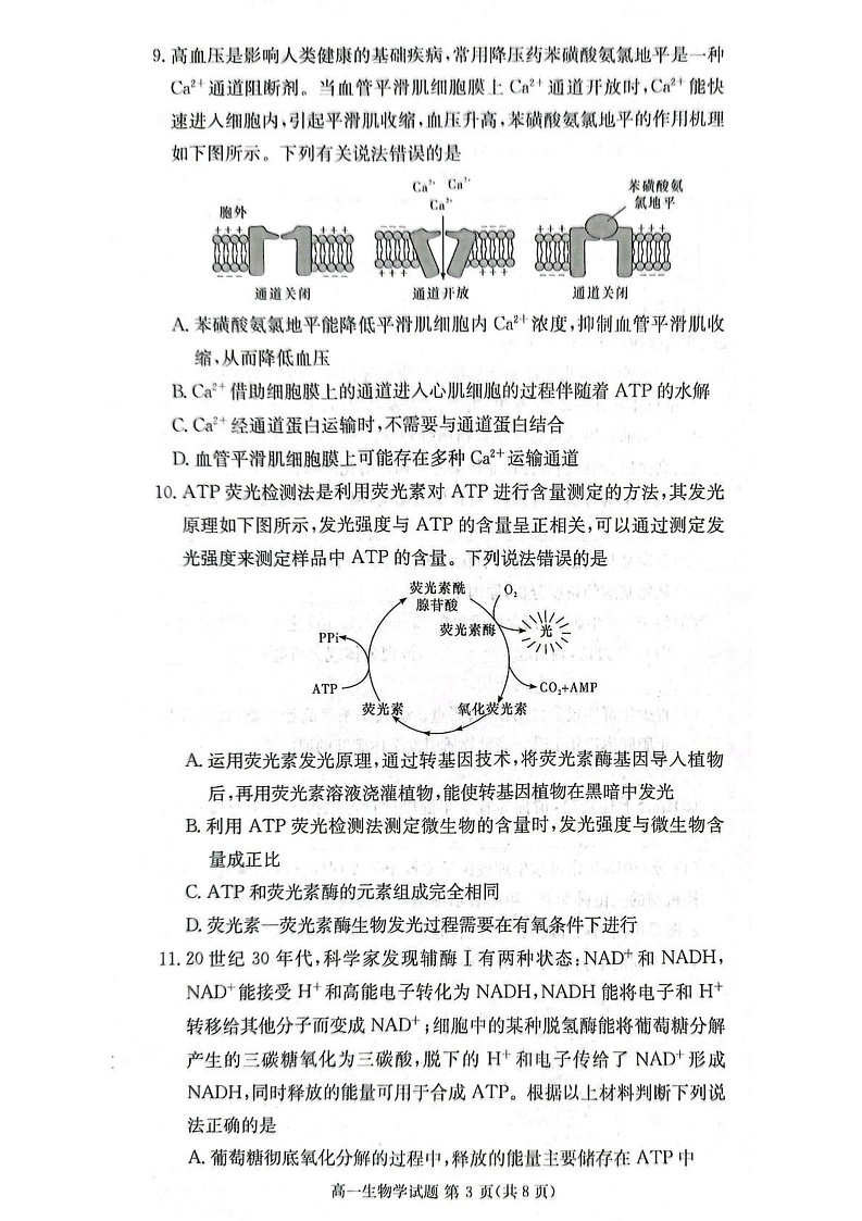 湖南省湘西土家族苗族自治州2024-2025学年高一上学期1月期末生物试题第3页