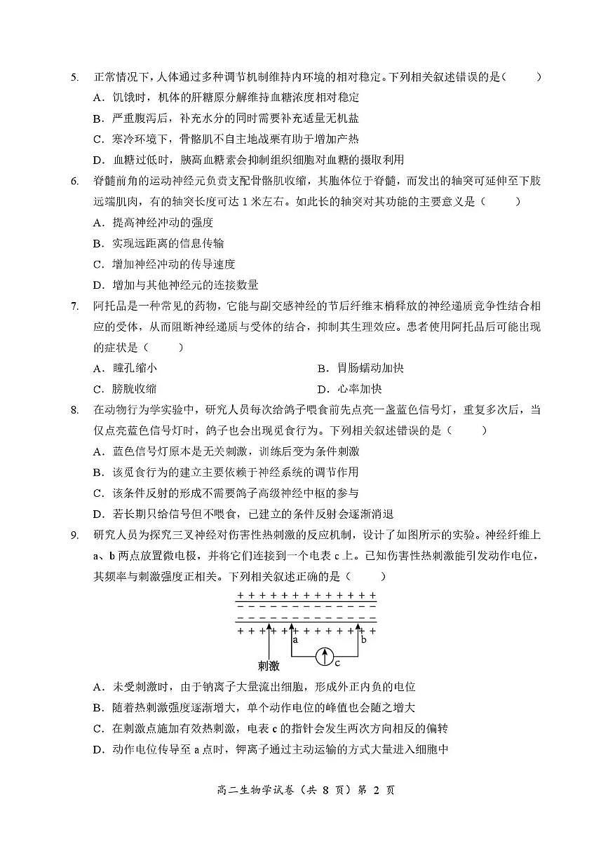 湖北省孝感新高考协作体2025-2026学年高二上学期11月期中生物试题含答案第2页