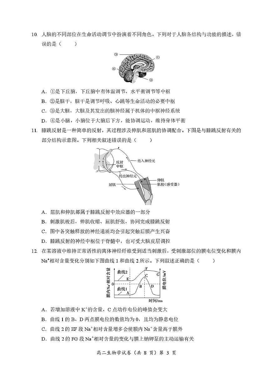 湖北省孝感新高考协作体2025-2026学年高二上学期11月期中生物试题含答案第3页