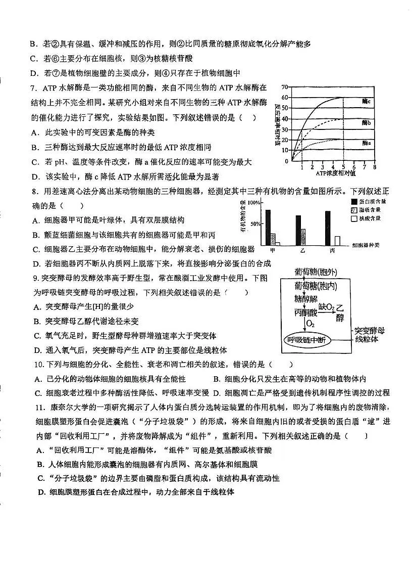天津市武清河西务中学2025—2026学年高三上学期第一次月考生物试题第2页