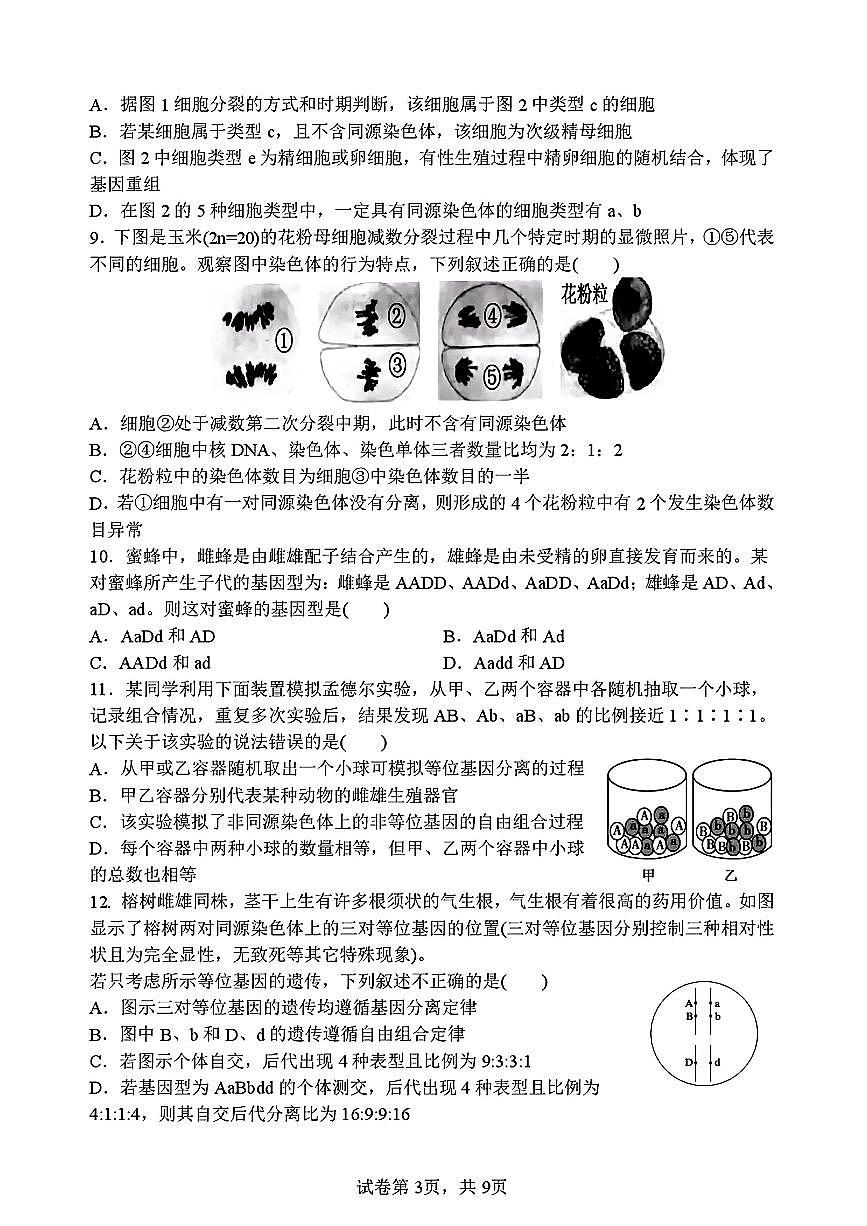 2025-2026学年哈尔滨第一中学高三上学12月生物试题及答案第3页